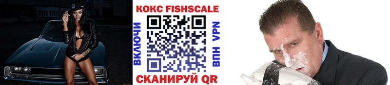 COCAIN FishScale  где купить   Каргат 
