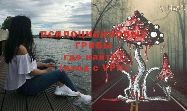 дживик Алзамай