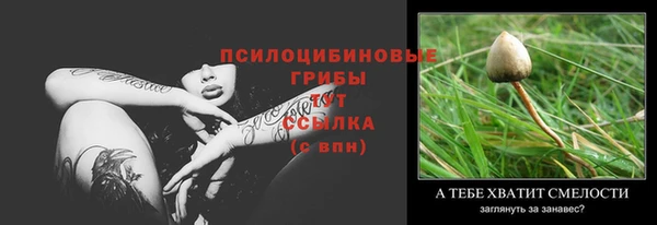 СК Алексеевка