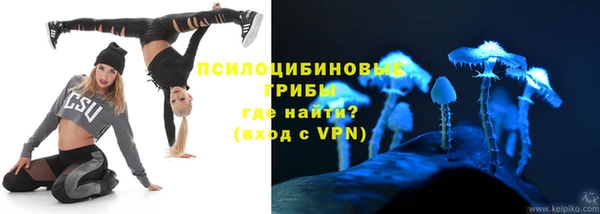 СК Алексеевка