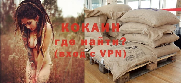 дживик Алзамай