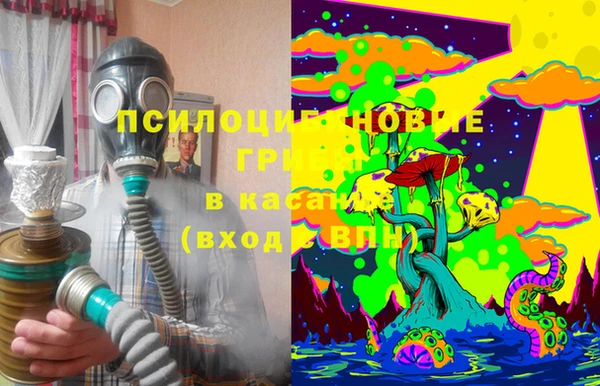 дживик Алзамай