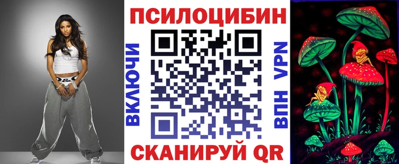 Псилоцибиновые грибы мицелий  наркотики  площадка наркотические препараты  Каргат 