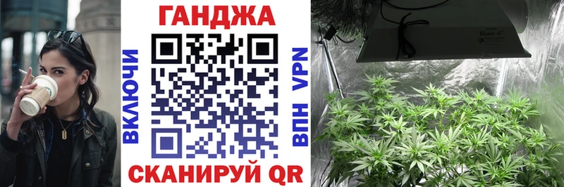магазин    Каргат  МАРИХУАНА сатива 